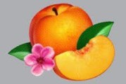 Album Review: Bankrupt! by Phoenix
