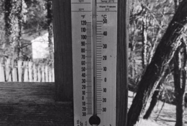 Local Spoonful: 5 Foodie Places to Help Survive Winter in Knoxville