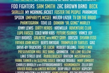 2015 Hangout Festival by Genre
