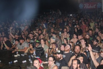 The story of Muddy Roots 2014