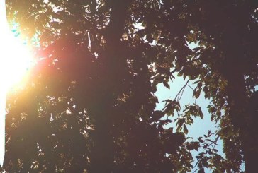 Local Music Review:  The New Apologetic’s “You’re Gonna Be Ok”