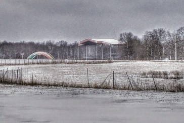 Winter Wonderoo: Bonnaroo in the snow