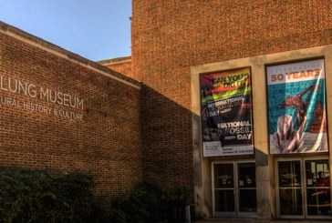 UT’s McClung Museum to Host Dino-Themed Family Sleepover in June
