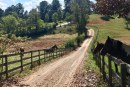 A Horse is a Horse, Of Course…