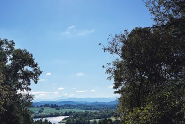 God’s Answer to Our Prayers: Knoxville’s hidden oasis