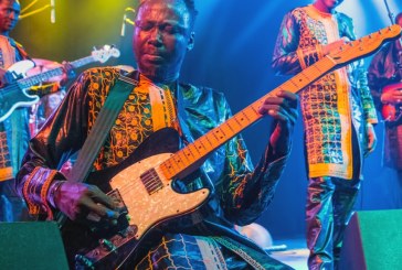 No fluke: An Interview with Big Ears founder Ashley Capps