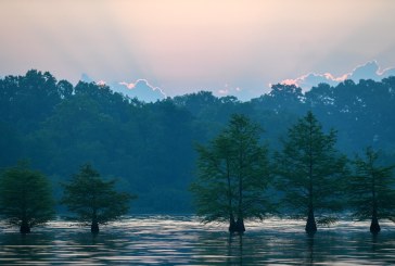 Bassmaster Elite Series Event At Chickamauga Lake Moved To March