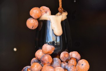 Crafty Corner III: Persimmons