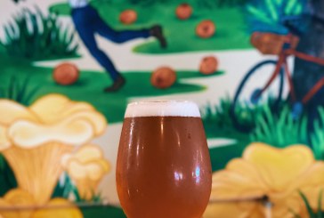 Crafty Corner: An Introduction