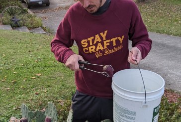 Crafty Corner IV: Prickly Pear