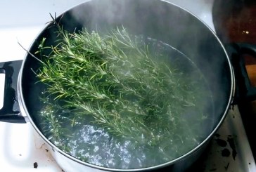 Crafty corner VI: Rosemary