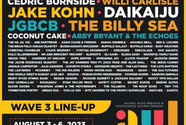 AVLFest Details Full Lineup for Inaugural Event – Indigo De Souza, Cedric Burnside, Willi Carlisle, and More