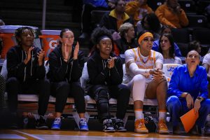 Destinee Wells Bench