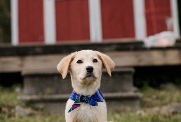 Rusty Odom, publisher of BLANK Newspaper, is still keeping you filled in