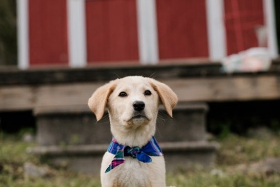 Rusty Odom, publisher of BLANK Newspaper, is still keeping you filled in