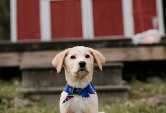 Rusty Odom, publisher of BLANK Newspaper, is still keeping you filled in